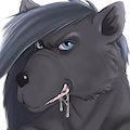 New Icon