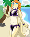 Beach Babe