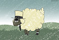 Sandy Sheep
