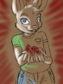 Want some sweet berries?