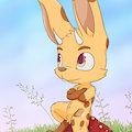 A Humble Jackalope