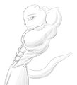 Otter