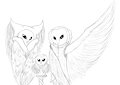 Owl Family Portrait