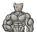 [↔] Ripped Chichilla