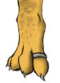 Paw