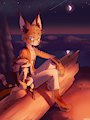 Campfire