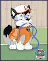 Paw patrol will you walk me ?