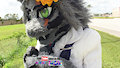 Mary Kemono Lioness 2