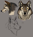 Video Art Tutorial Learnings: 1 - Wolf Heads