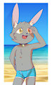 Summer Bun by KazeNeko