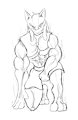 Good Boy #3: Lucario