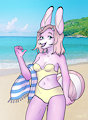 At the beach (part 1)