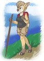 Another Sunny Day