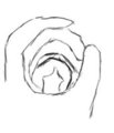 Hand