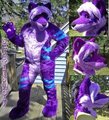 Skittles Wolf Fullsuit by Gel
