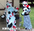 Xiris Calico Fullsuit by Gel