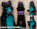 Gale Frostbane Fullsuit by Gel