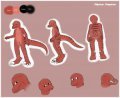 Riptor Raptor Reference Sheet - By intravenous  by Riptor