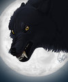 Full Moon Fever by LostWolfSpirit