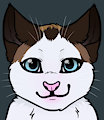 Kitty Face