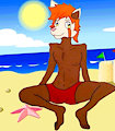 Maxie in the beach. by MaxieRedPanda