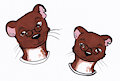$5 Color Headshots: Otter