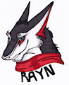 $5 Color Headshot: Rayn