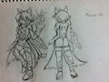 royal knights: marina oki sheet