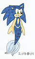 The little Merhog: Sonic