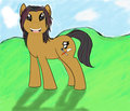 Introducing a new pony! ....Needs a name though o_o