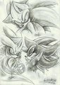 3 Hedgehogs Sketch