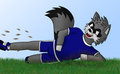 Rabid Raccoon!