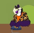 Silly Ol Bear