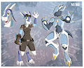 *C*_Nuri by Fuf