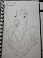 Chicken by SonicD00dl3r