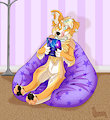 Gaming Collie