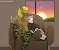 A Quiet Afternoon