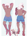 Lanaya Dakimakura