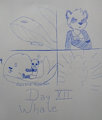 Day XII - Whale featuring @_P4ND4