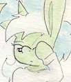 Let Sleeping Ponies Lyra