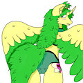 oops by ravark