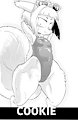 FFC-Extra: Cookie