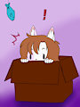 Box Kitty Colored