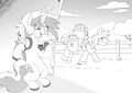Shy Pony