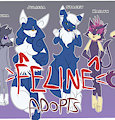 *ADOPTABLES*_Poke felines 2/2