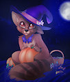 WitchyRaccoonMoon by Greymoon