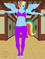 Rainbow dojo work out by LigerfoxZeroX