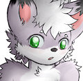 little fox