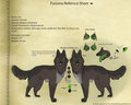 Fursona Refernce