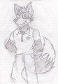 Anthro practice by TuneCharmer